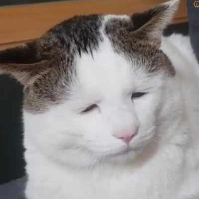 (0)