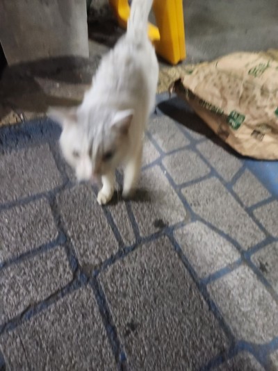 (0)
