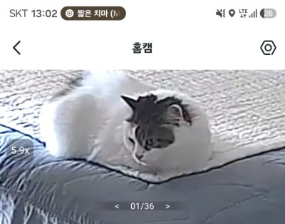 (0)