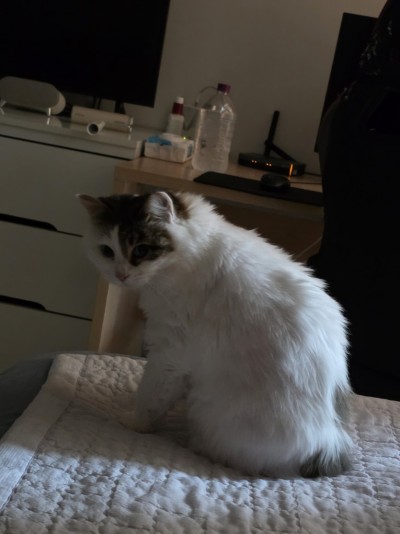 (0)