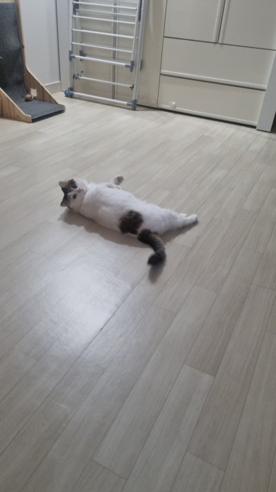 (0)