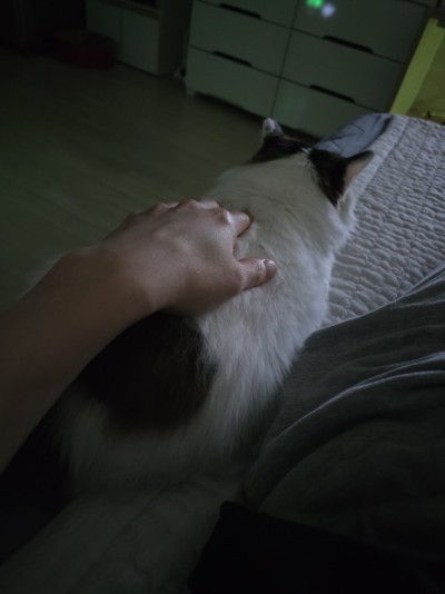 (0)