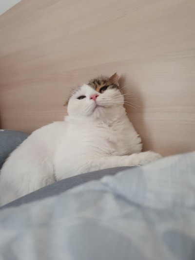 (0)