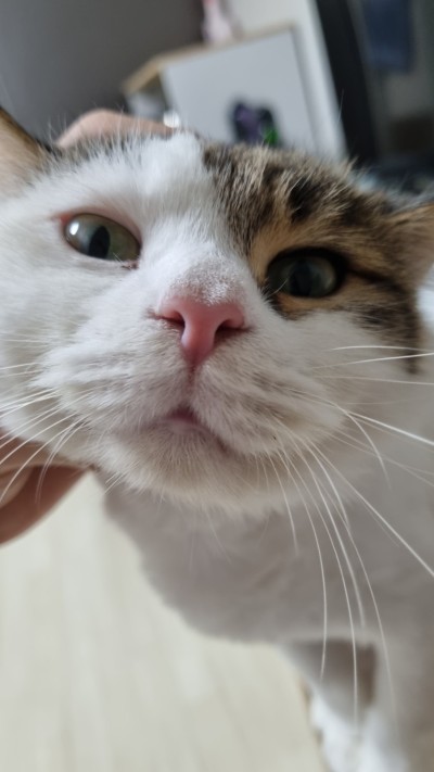 (0)
