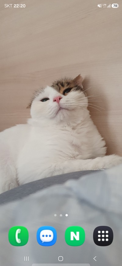(0)