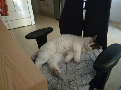 (0)