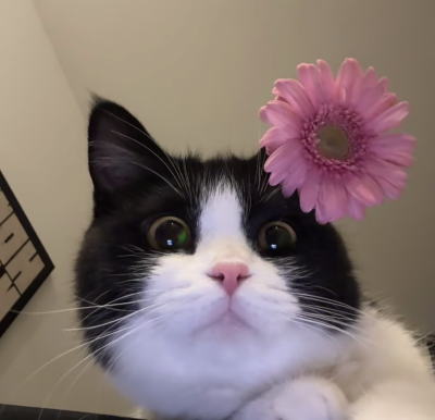 (0)