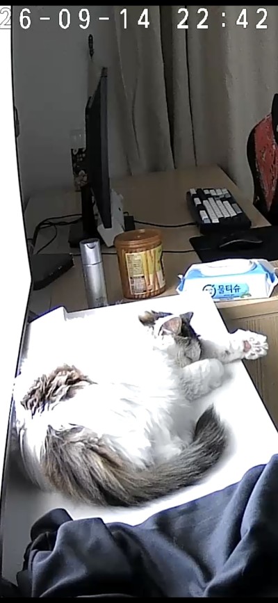 (0)