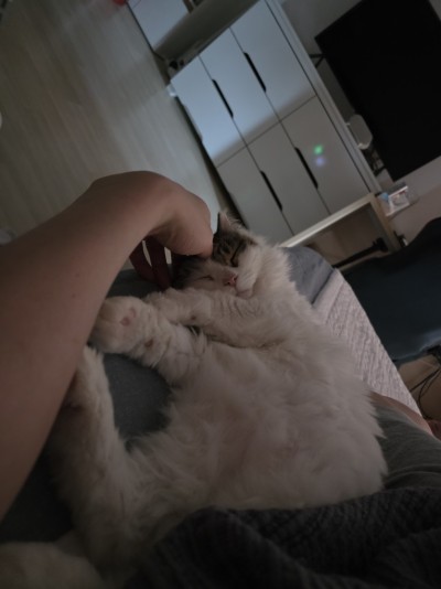 (0)