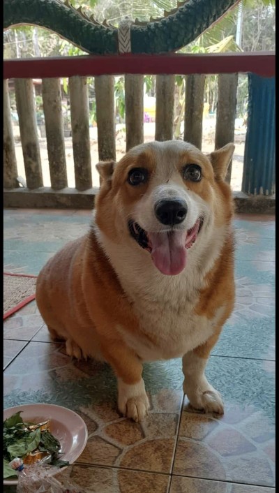 (0)