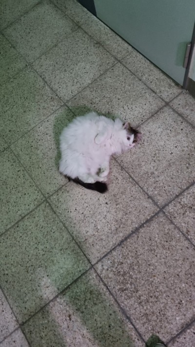 (0)