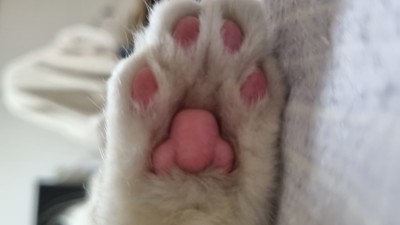 (0)