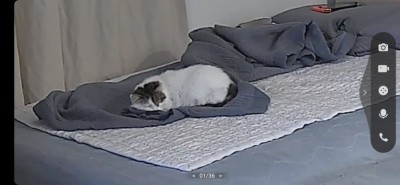 (0)