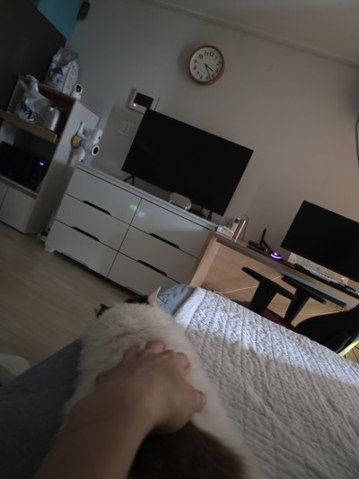 (0)