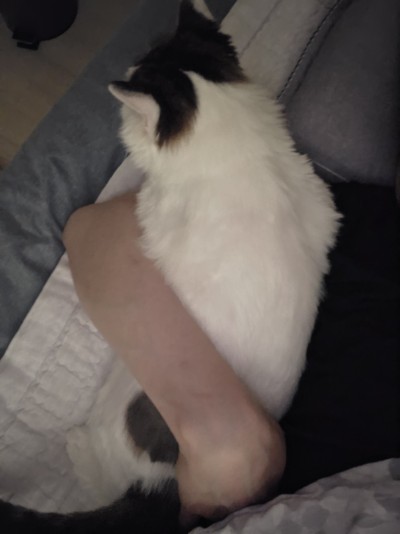 (0)