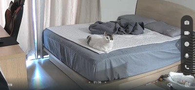(0)