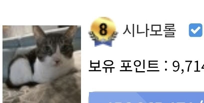 시나모롤 이 사람 쥐순이가 잘 어울리네요(0)