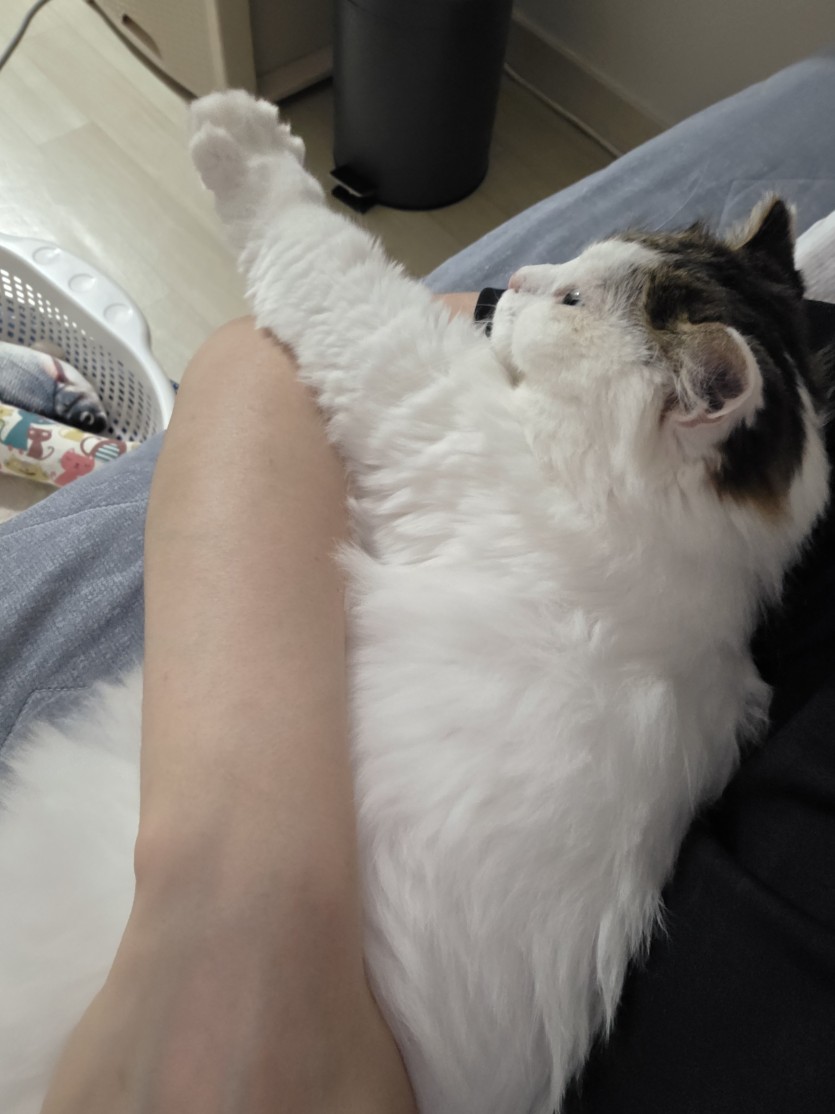 ㄱㅇㅇ랑 잠깐잤어요(0)