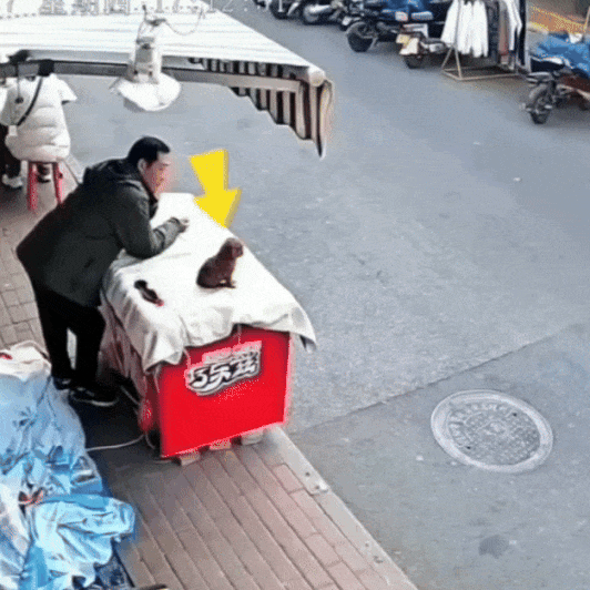 시간 넘흐 잘가네효(0)