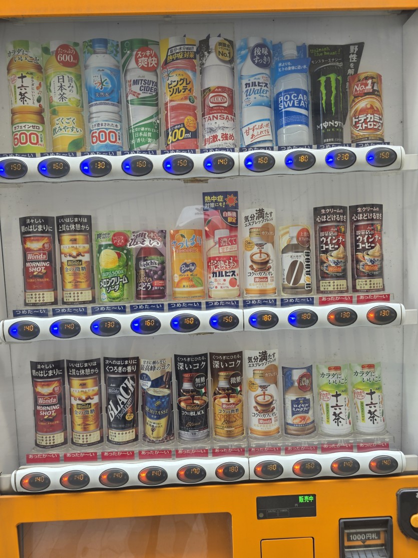 너무비싼 도핑이라..(0)