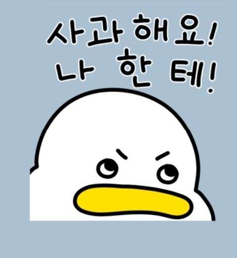 노돌은 유모급입니다(0)