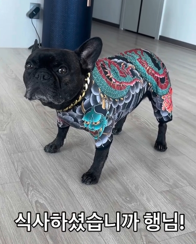 문신충 건달인데..귀엽네요(0)