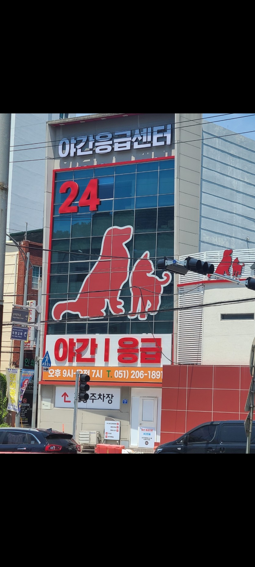 동물치료수요가  많은둣요 ㅎㅎ(0)