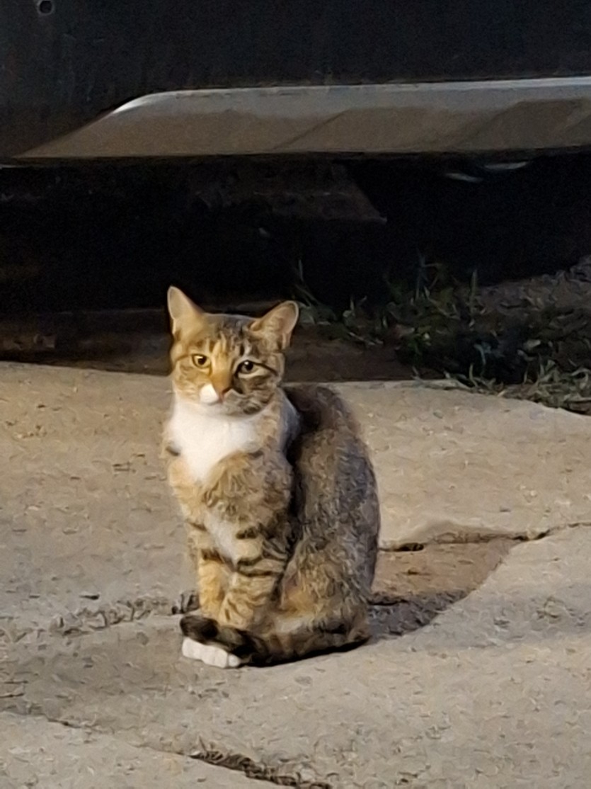 퇴근까지 1시간(0)