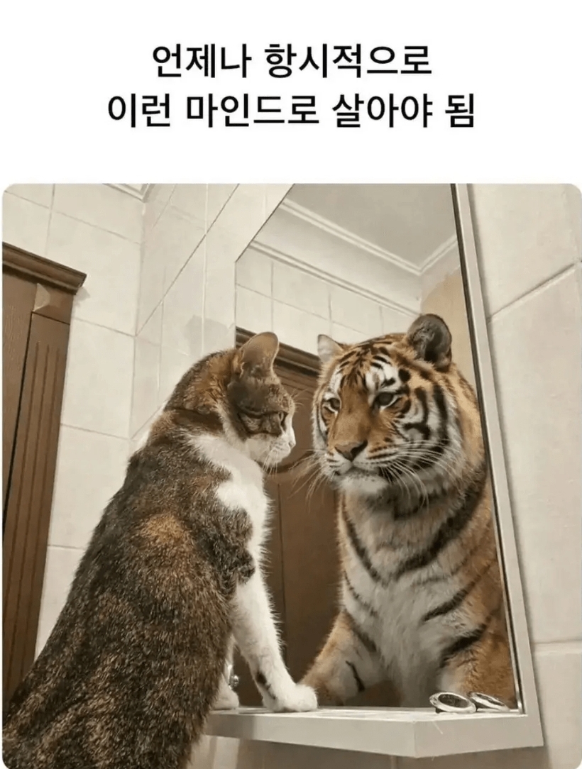 새벽엔 포인트 필요한 사람이 별로 없습니다(0)