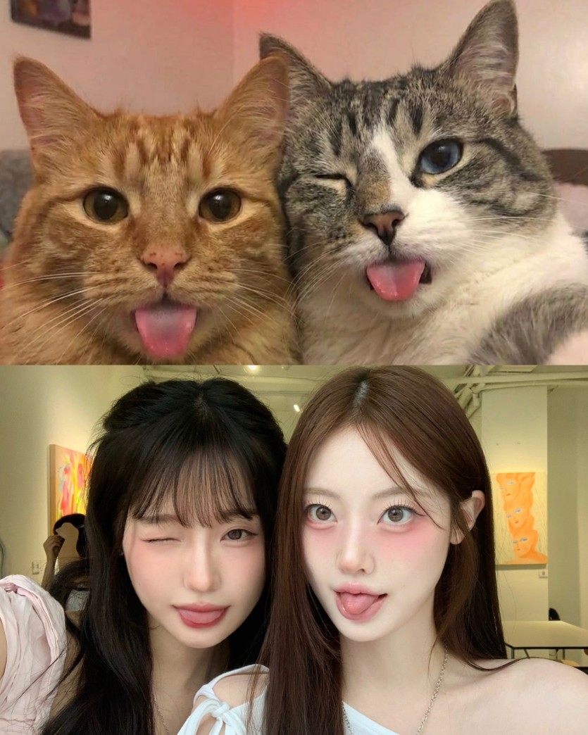 제가 한 거 아님요(1)