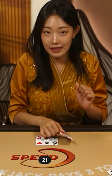 블랙잭20을 잡았다ㄷㄷㄷㄷㄷ(0)