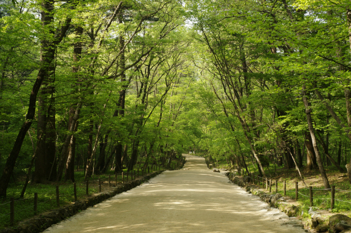 산책다녀올게용(0)