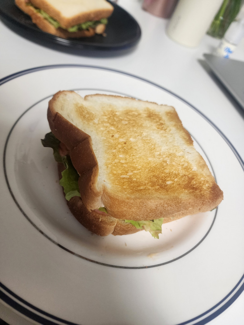 여친이 간식으로 샌드위치를!!!(0)