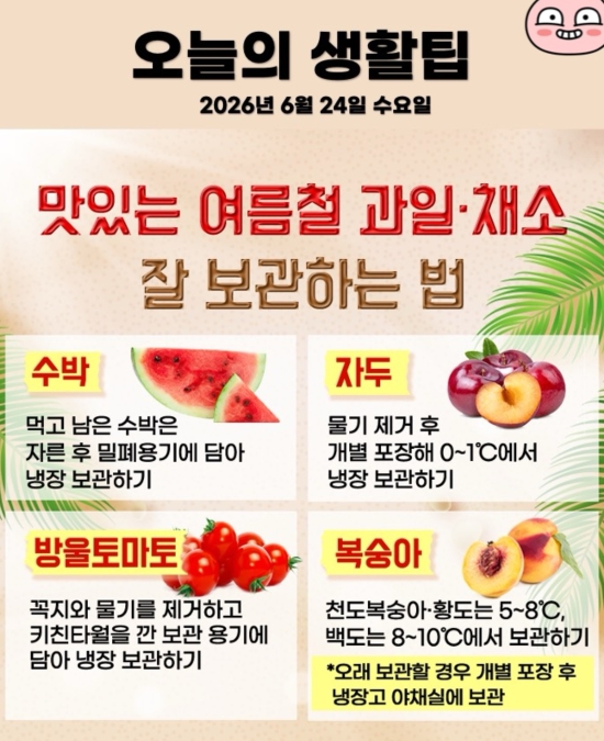 24일 오늘의 생활팁(0)