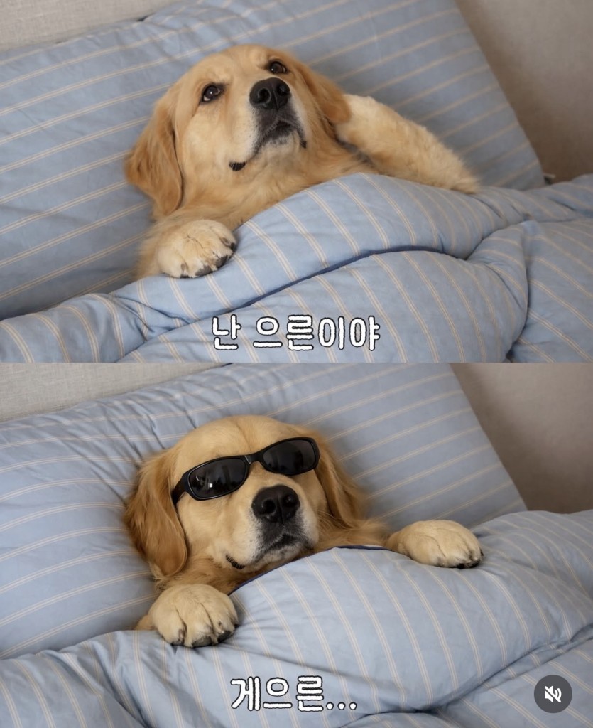 벌써 일하기 싫다...(0)