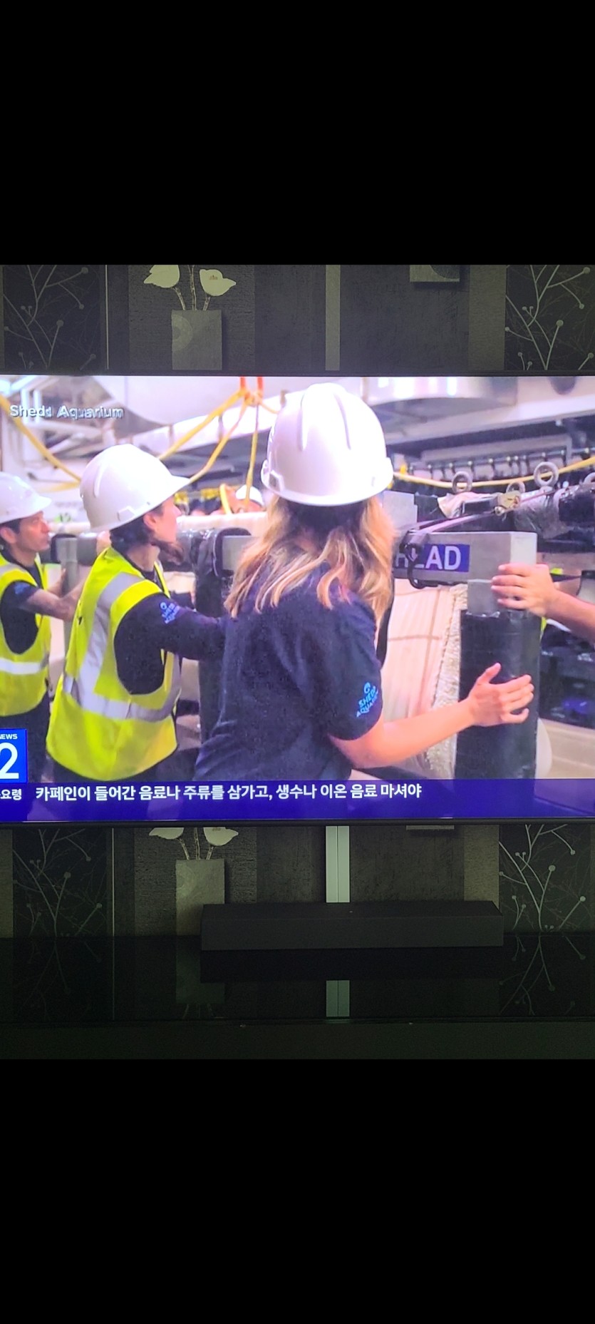 티비보면서  휴가막날 ㅎㅎ(0)