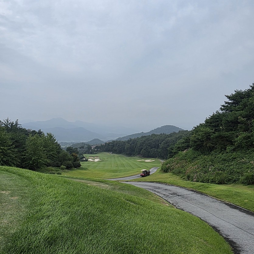 아침운동(0)