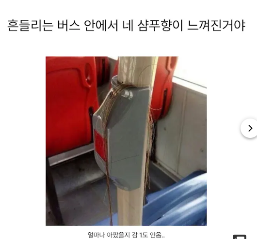 참혹한현장입니다...(0)