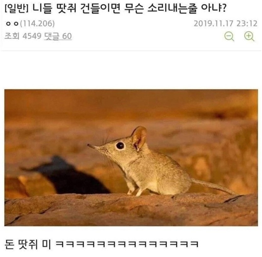 땃쥐를 건들면 무슨 소리를 내는지 아십니꼬??(0)