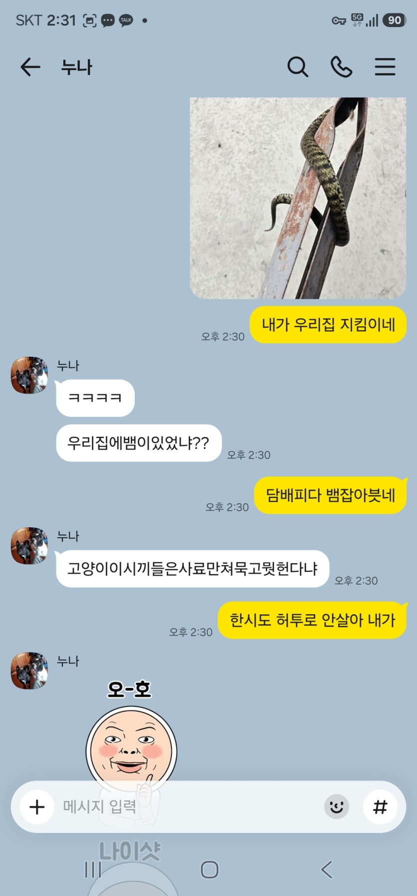 오늘 집 고양이들 밥 굶을수도 있겠네요 ㄷㄷ(0)