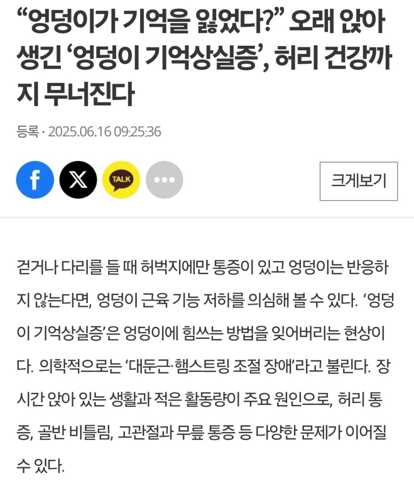 다들 엉덩이기억상실증 조심하세요(0)