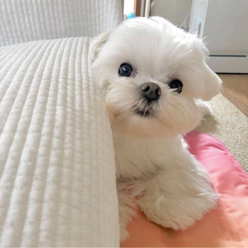 3억 포전 ㄷㄷ(0)