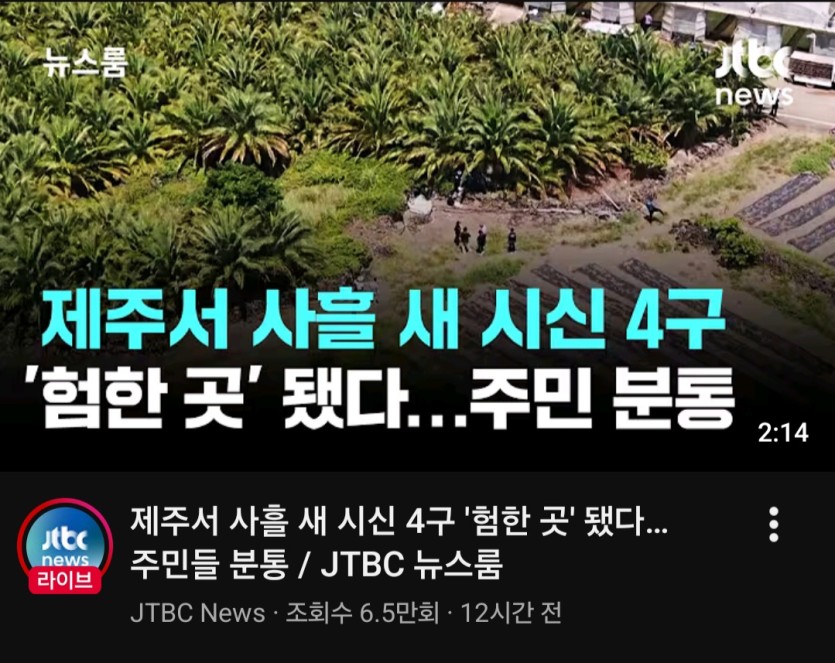 제주도 장씨 시신 찾는와중에(0)