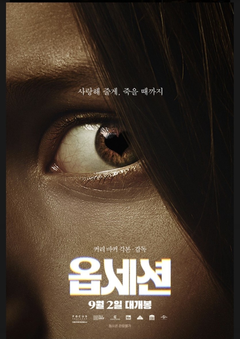양화재믹네여 옵쎅션(0)
