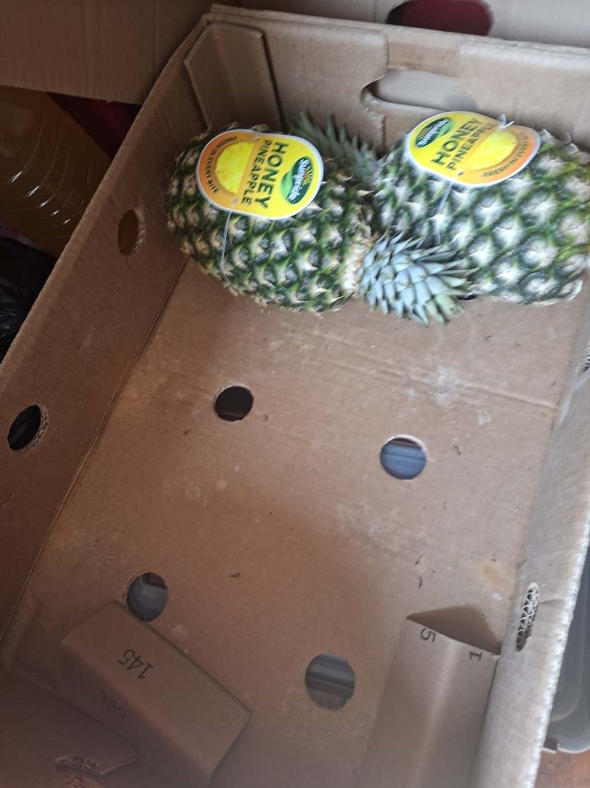 맛점하러 가시죠ㅋ(0)