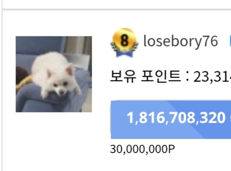 싸이트에 충성을 했어야했네..(0)