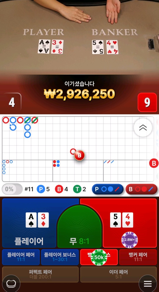 바카라 자주 보이는 패턴 있나요?(0)
