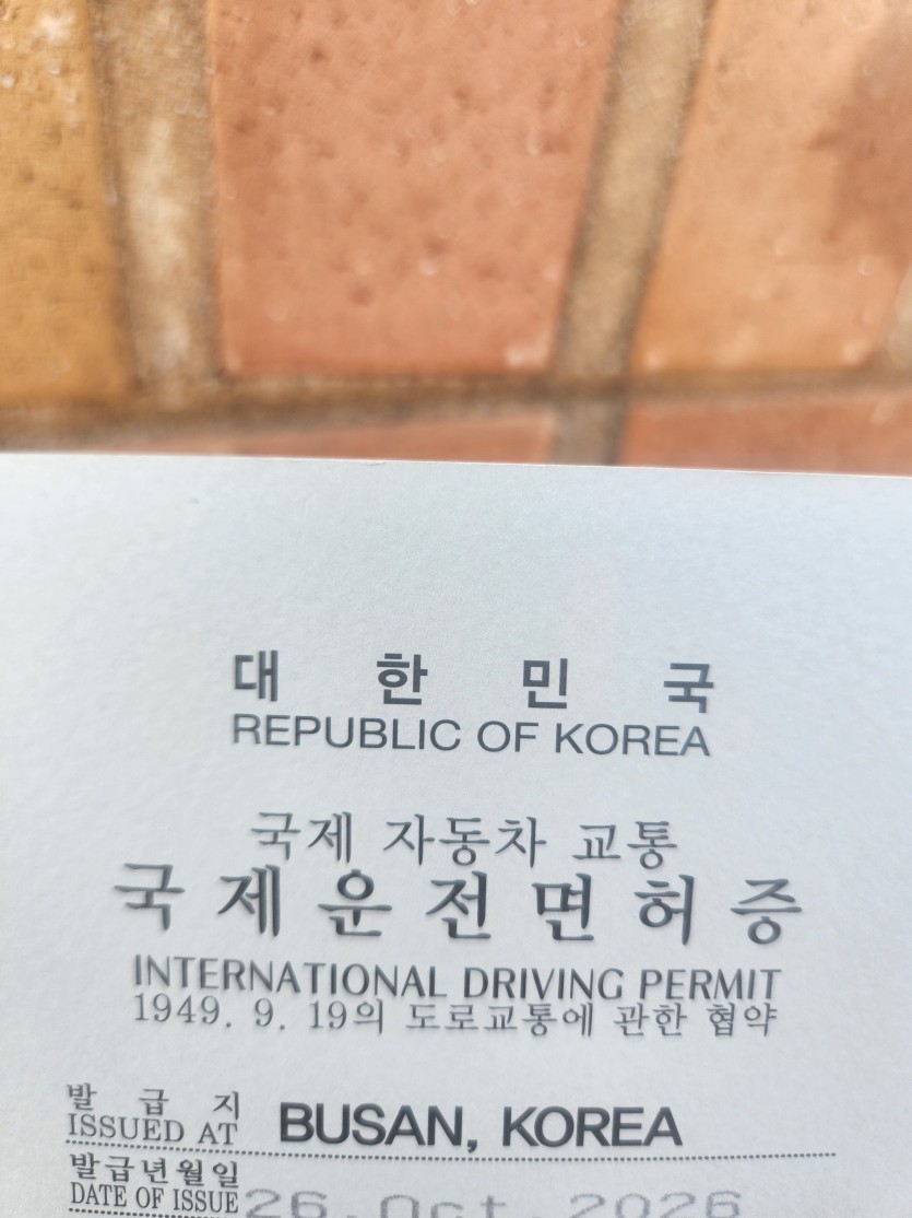 국제면허발급  ㅎㅎ(0)