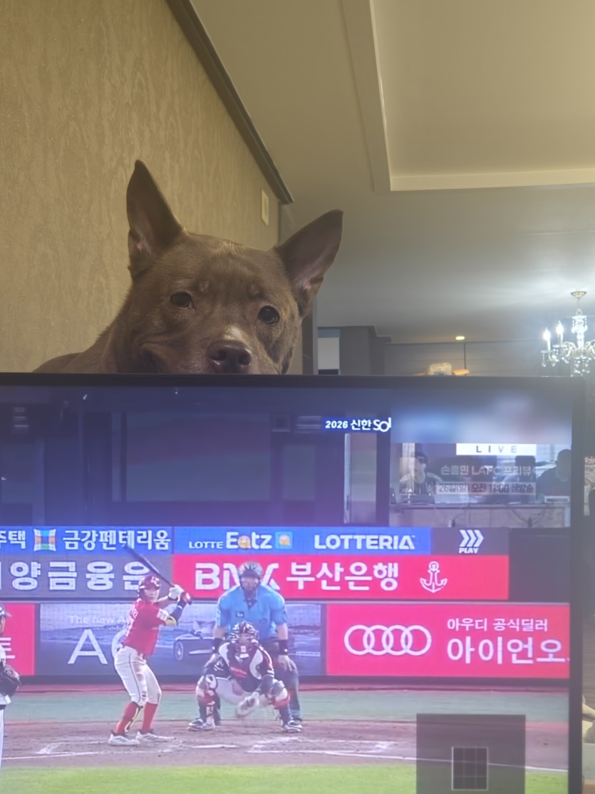 무섭게 생겼어요(0)