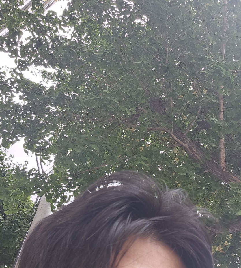 광란의 밤 보내고 옵니다.(0)